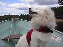 Jasper in the Madawaska River styling in his Ruff Wear float coat.
