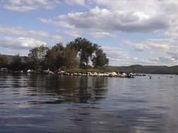 Islands in Lake Kamaniskeg.