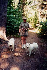 Cindy with Digby and Jasper on the trail.